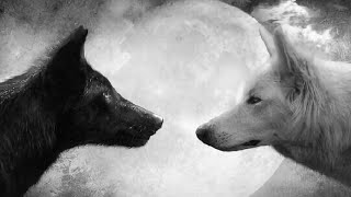 INSIDE YOU THERE ARE TWO WOLVES