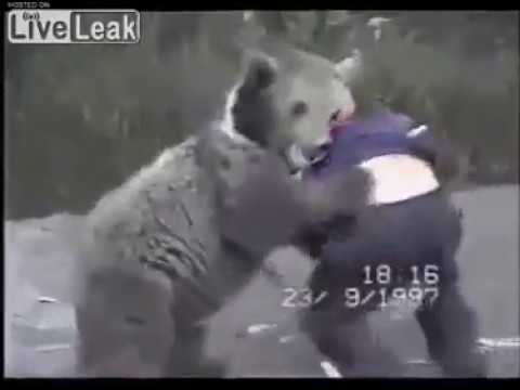 Khabib vs Bear highlights! UFC229