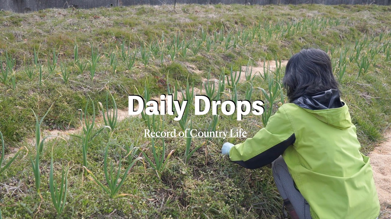 自給暮らしvlog ｜美味しいご飯と農作業｜ガレット・ブルトンヌ｜# 97