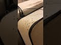 Get Rid Of Bed Bugs Crawling On Your Mattress