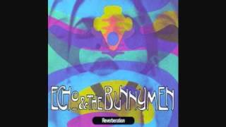 Echo & The Bunnymen - Cut & Dried