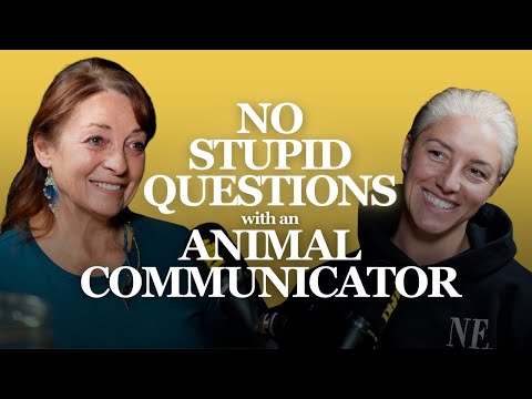 No Stupid Questions with Animal Communicator, Delaya Diana