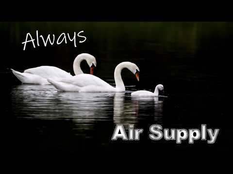 Always cover