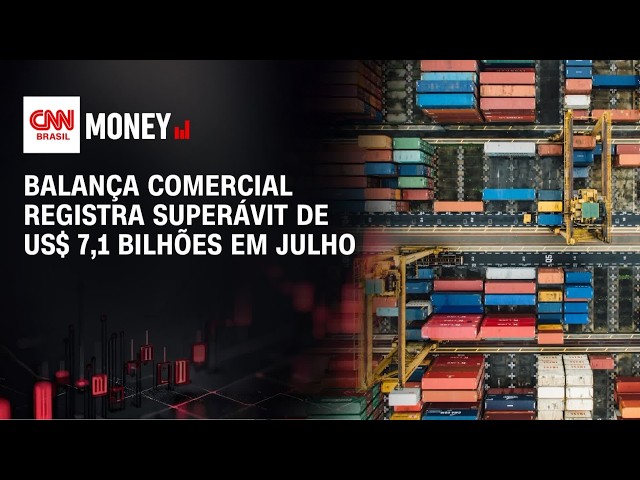 Balança comercial registra superávit de US$ 7,1 bilhões em julho | MORNING CALL