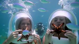 Download lagu Octopus´s Garden ( The Beatles ) Marcus Nimbler mp3