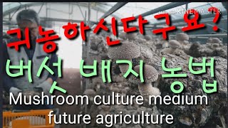 버섯전문가에 묻다 버섯배지사업! 귀농인이여~ Mushroom culture medium future agri…