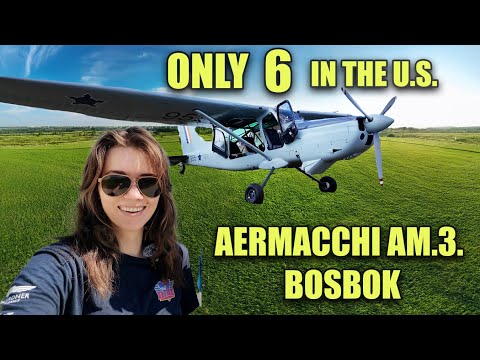 GEARED ENGINE TAILDRAGGER! GSO-480 Bosbok