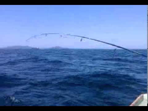 Pescaria com emoção em Cabo Frio. (Parte 2)