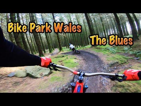 The Blues At Bike Park Wales