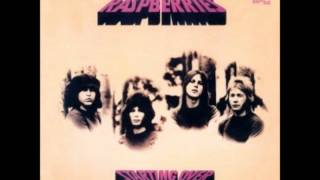 Raspberries - Radio promo for Starting Over.