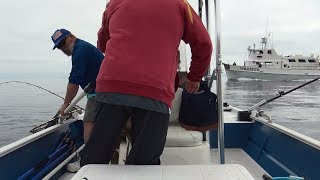 Fishing Etiquette The Reel Brother Presents