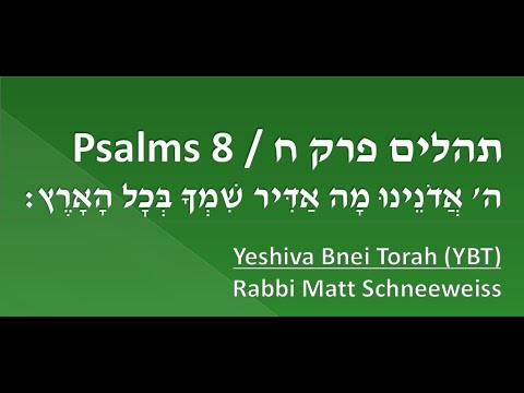 Tehilim 8: "Hashem, Our Lord, How Majestic is Your Name Throughout the Earth" (Part 2 of 2)