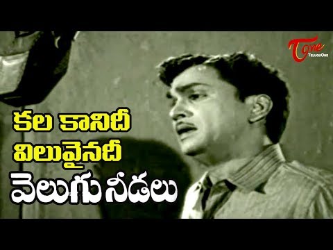 Telugu Old Songs | Velugu Needalu Songs | kalakaanidi Viluvainadi | ANR | Savitri - OldSongsTelugu