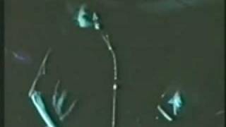 Green Day - At the Library [Live @ Davis, California 1989]