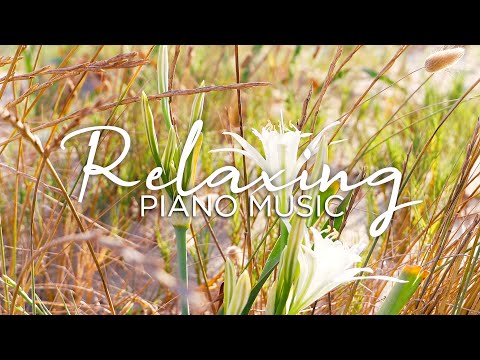 3 hours of Peaceful and Positive Energy | Relaxing & Stress Relief Music | Music and Nature Sound
