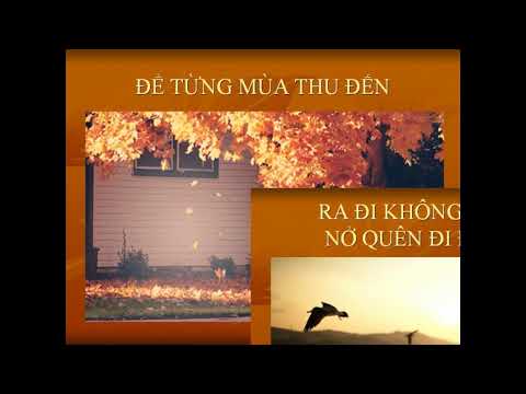 MÙA THU TRONG MƯA -Trường Sa -Thùy Dương -NDD