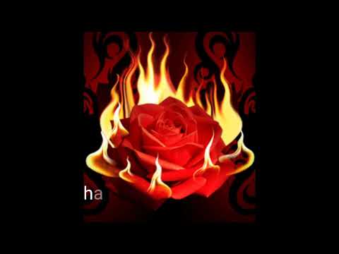 SEVMİŞ BULUNDUM GÜZELİM GAYRI NE ÇARE