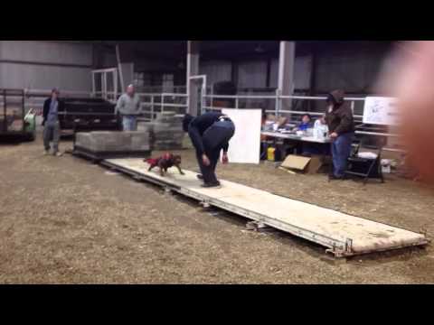 Boogieman's first ADBA BODYPOUND