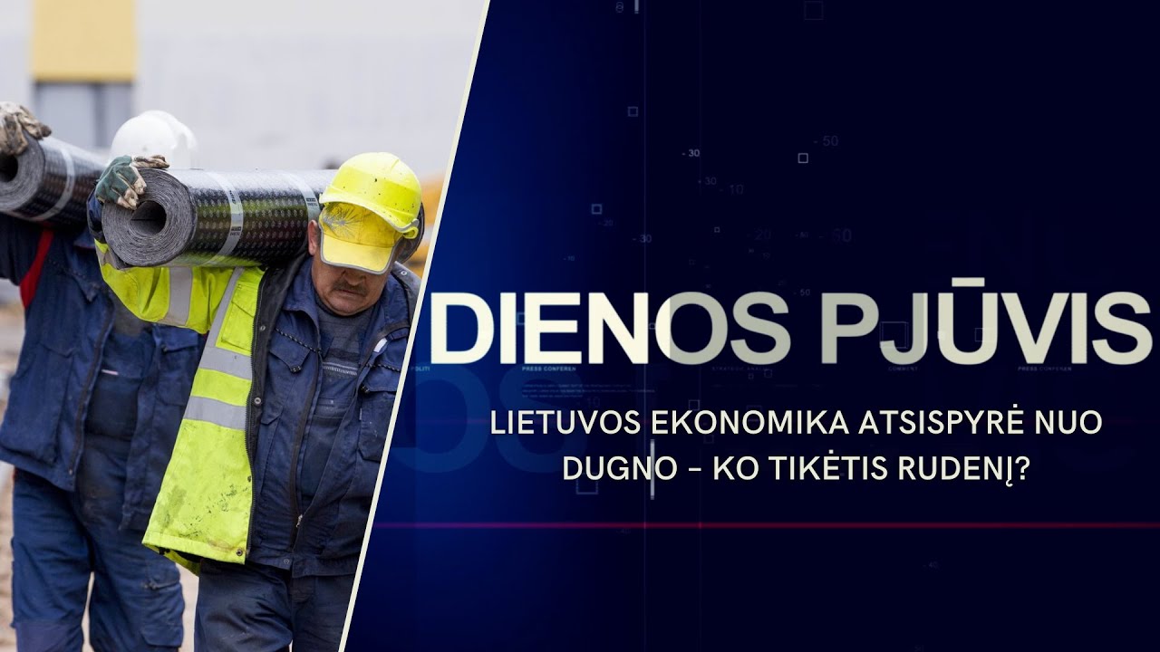 Lietuvos ekonomika atsispyrė nuo dugno – ko tikėtis rudenį? | DIENOS PJŪVIS