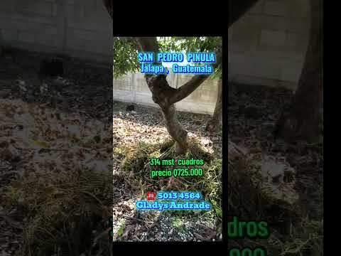 VENTA DE PROPIEDAD San Pedro Pínula Jalapa #extranjeros #realestate #bienesraicesAndrade #Ventas