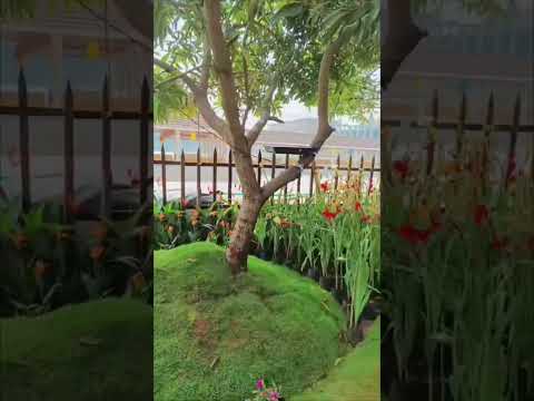 Flower show  craft village Vadakara