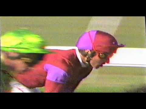 1993 VRC L K S Mackinnon Stakes