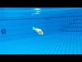 FINDING NEMO IN MY SWIMMING POOL