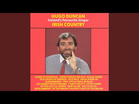 By The Bright Silvery Light Of The Moon