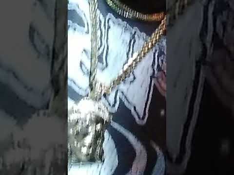 Rochy Rd x Choco Face x Young Gatillo - Eso e eso ( Version 1ra )