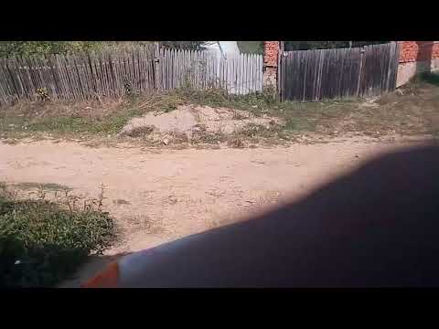 Tăierea pădurilor ilegal în Satul Mierag Com Tarcaia Județul Bihor