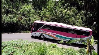 Download lagu Begini Skil Sopir BUS di Jalan Sempit Tikungan Menanjak Pegunungan mp3