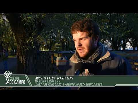 Agustín Lalor - Martín G. Lalor S.A - Lunes 04 de junio de 2018 - B. Juárez