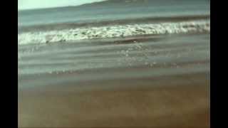 Inspiration | Lenga - Ease Your Feet in the Sea