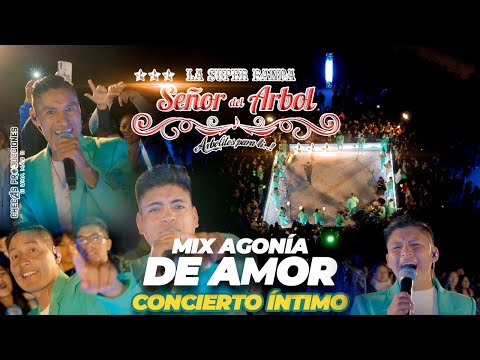 LA SUPER BANDA SEÑOR DEL ÁRBOL - CONCIERTO ÍNTIMO MIX AGONÍA DE AMOR [En Vivo Oficial 4k]