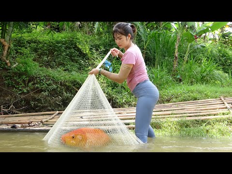 How To Catch Fish In The Wild, Amazing Cast Net Fishing Skill Catch Giant Fish | Traditional Fishing