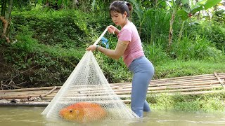 How To Catch Fish In The Wild, Amazing Cast Net Fishing Skill Catch Giant Fish | Traditional Fishing
