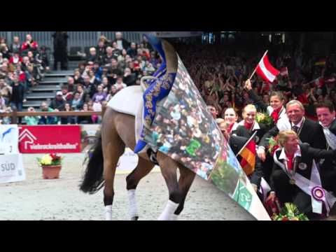 Der Voltigierverein Köln-Dünnwald