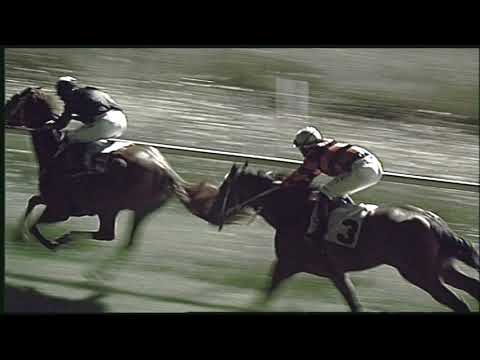 Galoppo  05/08/2020 6ª corsa