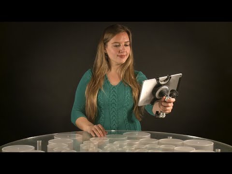 Bridge 360 — Handle and Stand