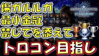 【MHW:IB】トロコンまであと少し！！【モンスターハンターワールドアイスボーン】#89