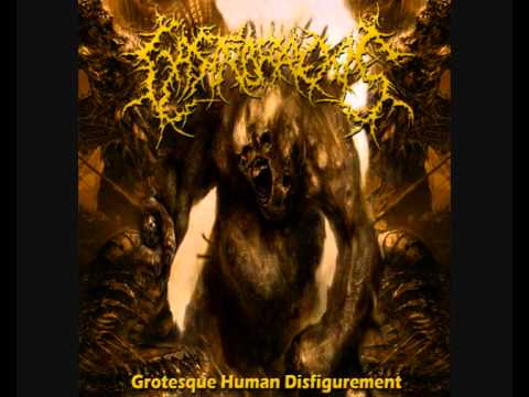 GASTRORREXIS  -Rotten Humanity