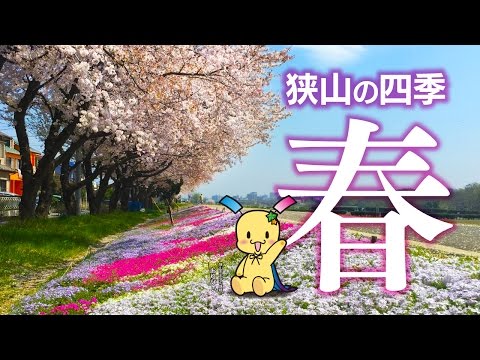 狭山市　狭山の四季春