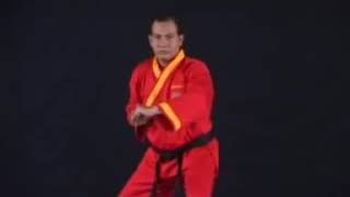 Download lagu jurus katak TAPAK  SUCI AAN JR mp3