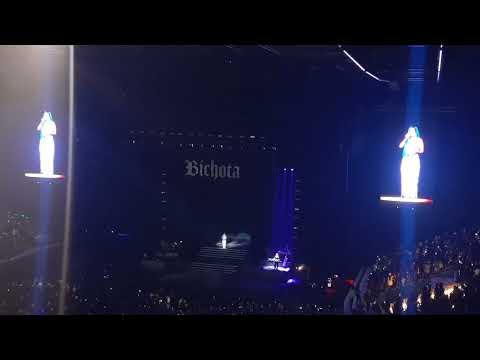 La #mosca con #karolg #argentina #arena #concerts (3)