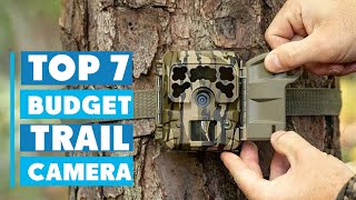 Best Budget Trail Cameras: Affordable Options for Wildlife Enthusiasts