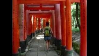 preview picture of video 'Kyoto: Fushimi Inari Shrine  (torii walk)'