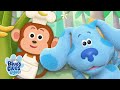 Josh Blue Skidoo Into The Jungle Blue S Big Baking Show Blue S Clues You
