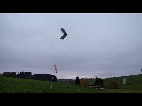 2021-11-07 Luna&Lissy vs. Hacker Skyfighter FPV