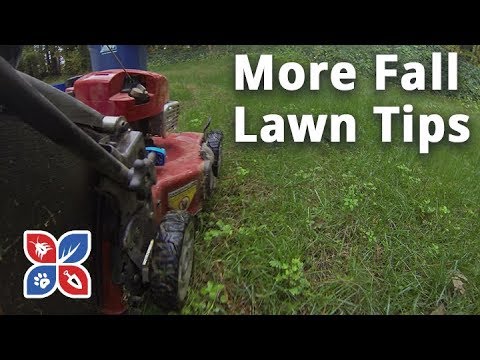  Do My Own Lawn Care - More Fall Lawn Tips Video 