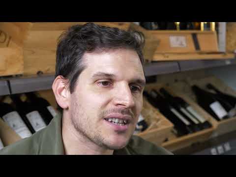 Lambruschi d'Italia - Assaggi della guida ai distretti del vino Untold 2026